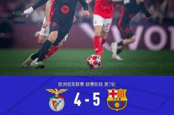 汉堡球员发挥失常，球队连续低迷的简单介绍